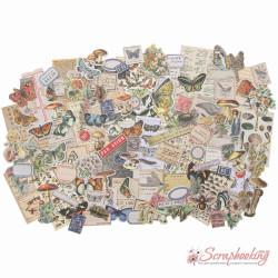 Висічки Tim Holtz Idea-Ology Ephemera Pack Field Notes 134шт 