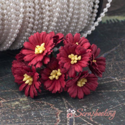 Букет гвоздичок бордовий, 10шт