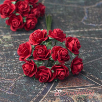 Букет троянд Open Roses 10мм червоні, 10шт