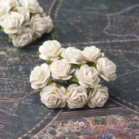 Букет троянд Open Roses 10мм шампань, 10шт