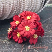 Букет гвоздичок червоний, 10шт