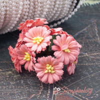 Букет гвоздичек коралловый светлый, 10шт