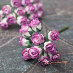 Букет троянд Rosebuds біло-малинові, 10 шт.