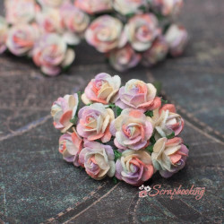 Букет троянд Open Roses 10мм веселка зефір 10шт