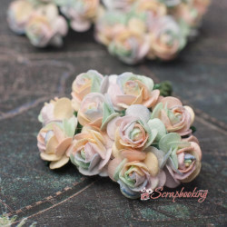 Букет троянд Open Roses 15мм веселка пастель 10шт