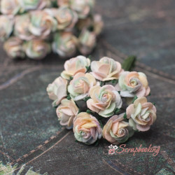 Букет троянд Open Roses 10мм веселка пастель 10шт