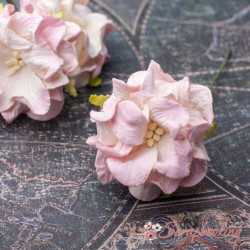 Гарденія бутон 3.5см біло/рожева, 1шт