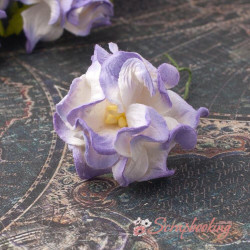 Гарденія бутон 4см білий/фіолетовий, 1шт