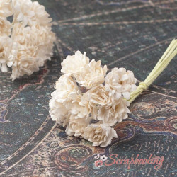 Букет гіпсофіл шампань, 10шт