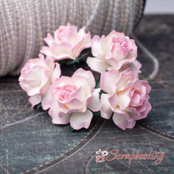 Букет троянд Cottage Roses 30мм біло-рожеві, 5шт