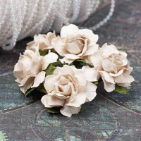 Букет троянд Cottage Roses 30мм латте, 5шт