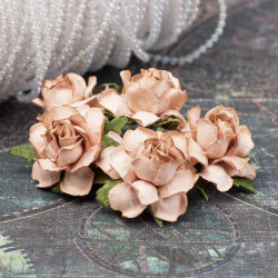 Букет троянд Cottage Roses 30мм какао, 5шт