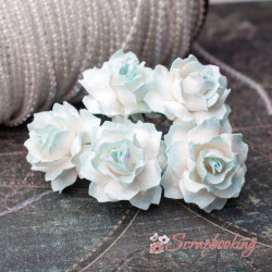Букет троянд Cottage Roses 30мм біло-ментолові, 5шт