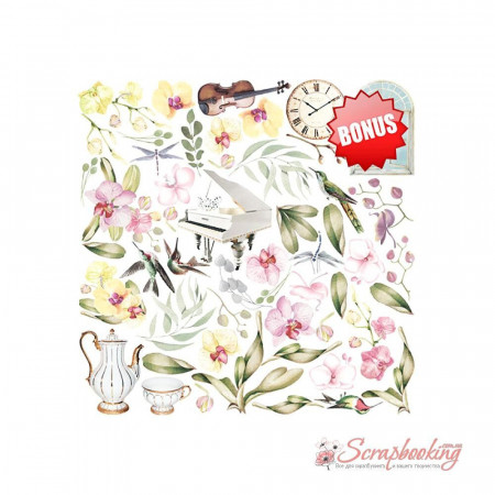 Набор бумаги 20*20см Фабрика декора Orchid song 10листов