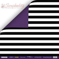 Аркуш паперу 30*30см Scrapmir Ticket to the Moon Темні Лінії двосторонній