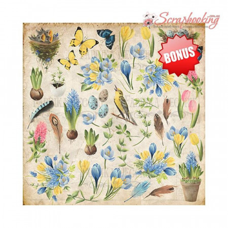 Набір паперу 30*30см Фабрика декору Botany spring, 10аркушів