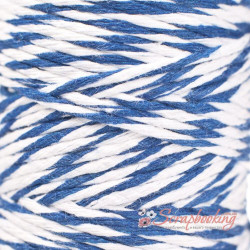 Нитка декоративна 2мм біло-синій, 1м 