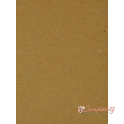 Дизайнерський картон 20*30см Крафт світлий Hyacinth 250гр/м2