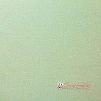 Дизайнерский картон А4 Перламутровый Weight Ментоловый 250гр/м2