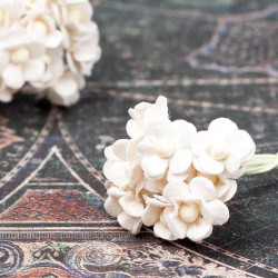 Букет Sweetheart mini шампань, 10шт