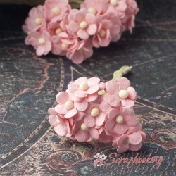 Букет Sweetheart mini рожевий, 10шт