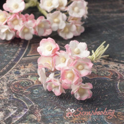 Букет Sweetheart mini рожевий ніжний, 10шт