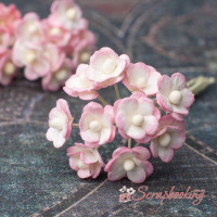 Букет Sweetheart mini біло-рожевий, 10шт