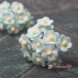 Букет Sweetheart mini бірюза ніжні, 10шт