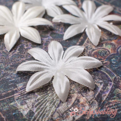 Набір квітів Маргаритка бежева, 5шт