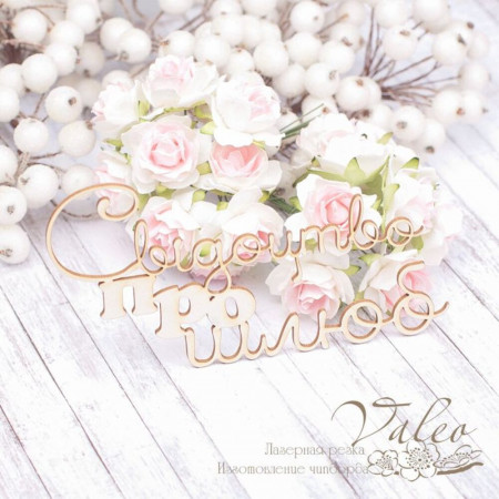 Чіпборд Valeo Свідоцтво про шлюб 126*67мм V1949