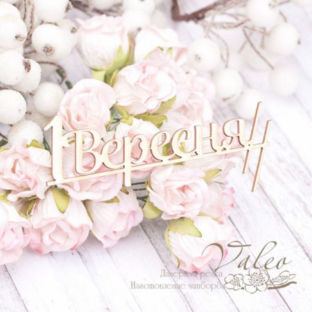 Чипборд Valeo 1 Вересня 84*37мм V1997