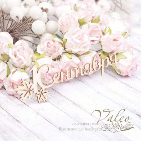 Чіпборд Valeo 1 Вересня 100*33мм V1998