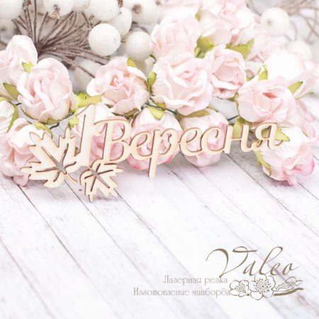 Чіпборд Valeo 1 Вересня 98*36мм V1999