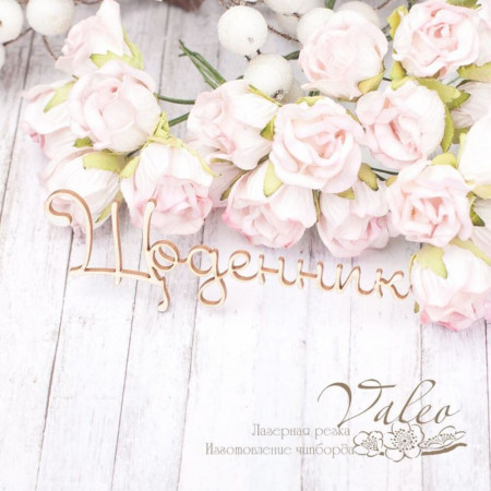 Чіпборд Valeo Щоденник 90*30мм V2002