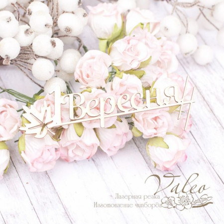 Чіпборд Valeo 1 Вересня 97*36мм V2003