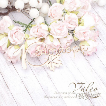 Чіпборд Valeo 1 Вересня 93*39мм V2007