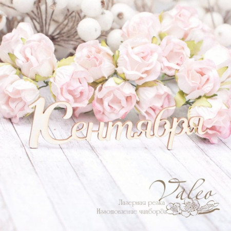 Чіпборд Valeo 1 Вересня 89*27мм V2008