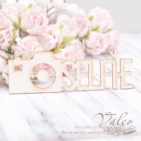 Чипборд Valeo Selfie 92*31мм V2084