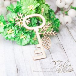 Чіпборд Valeo Ключ 47*65мм V2342