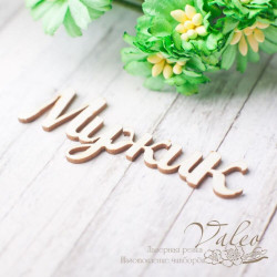 Чіпборд Valeo Чоловік 57*21мм V2346