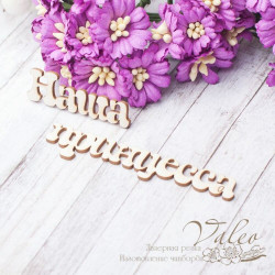 Чіпборд Valeo Наша принцеса 43*13мм 74*14мм V2533