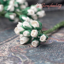 Букет троянд Mini Rosebuds шампань, 10шт