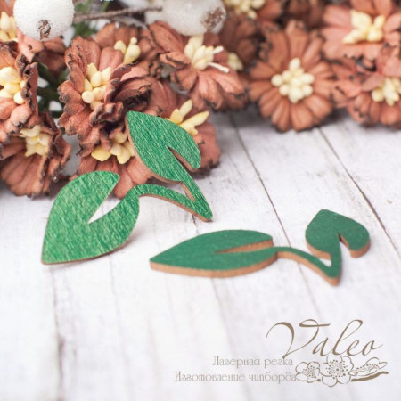 Чіпборд Valeo кольоровий набір Листки 2шт 39*26мм V2429