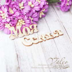 Чіпборд Valeo Моя сім'я 34*14мм 48*14мм V2466