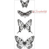 Штамп акриловий Kaisercraft 5*13см Butterflies 